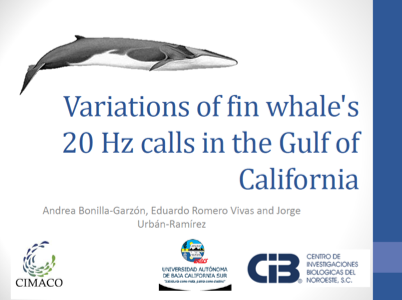 Geographic variation assessment of Bryde´s whale (balaenoptera edeni) Be4 call in the Gulf of California