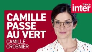 Affiche Camille passe au vert